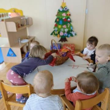 IMG_20211206_100519_resized_20220107_011918561 (Medium)